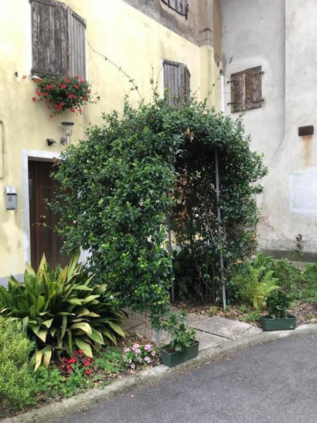 Il Casale Del Miele Bed & Breakfast Fraforeano Exterior photo